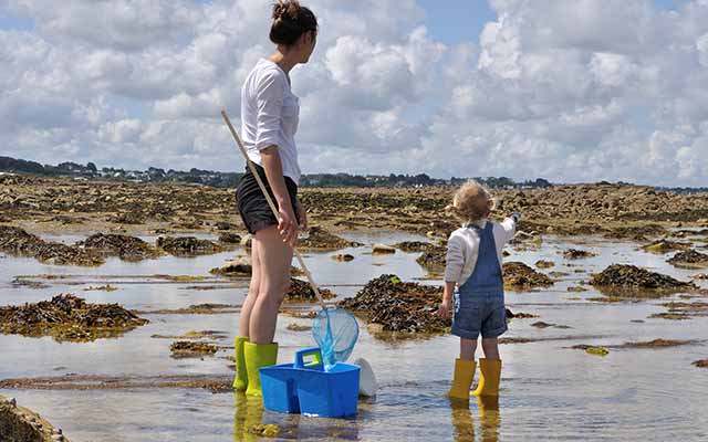Pêche à pied dans la baie
